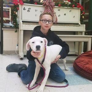 Meet your Posher, Derek